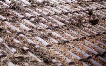 Smith End Green roof cleaning companies